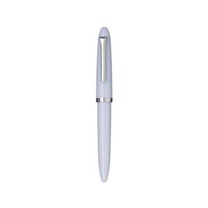 プラチナ万年筆 PLATINUM 銀無垢 #9 シルバー 万年筆 PTS-50000 F 細