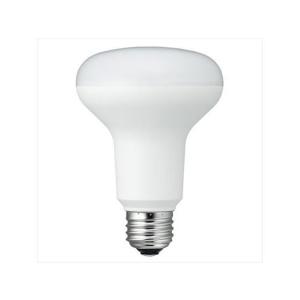 RF110V90WH 岩崎電気 EYE アイランプ RF110V90WH 屋外投光用レフランプ
