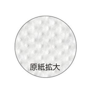 大黒工業 紙おしぼり フレッシュメイト 平 1...の詳細画像1
