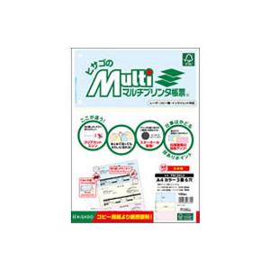ヒサゴ マルチプリンタ帳票A4カラー2面 4穴 100枚 FSC2011 マルチプリンタ帳票 Ａ４ ヒサゴ ＯＡ伝票 帳票
