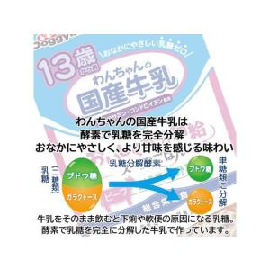【お取り寄せ】ドギーマンハヤシ 13歳から用 ...の詳細画像3