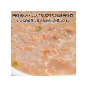 【お取り寄せ】ドギーマンハヤシ 13歳から用 ...の詳細画像5
