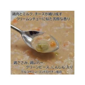 【お取り寄せ】ドギーマンハヤシ 13歳から用 ...の詳細画像4