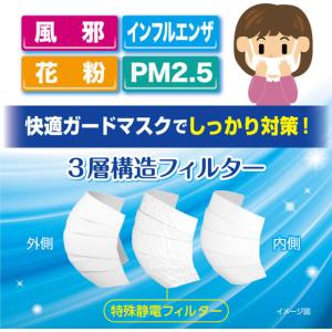 白元アース 快適ガード マスク ふつう 7枚 ...の詳細画像4
