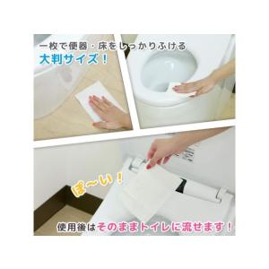 レック 激落ち超厚流せるトイレクリーナー大判タ...の詳細画像3