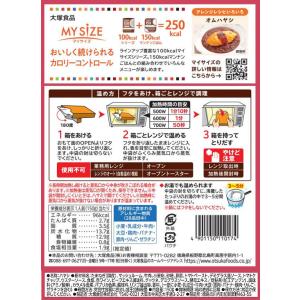 大塚食品 100kcalマイサイズ ハヤシ 1...の詳細画像3