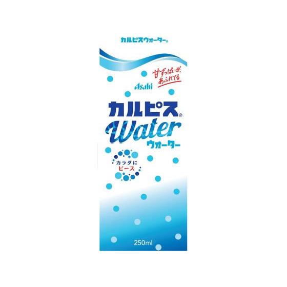 エルビー カルピスウォーター (LL) 紙パックスリム 250ml  ジュース 清涼飲料 缶飲料 ボ...