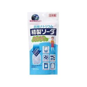 扶桑化学 精製ソーダ 250g 室内用洗剤 掃除...の商品画像