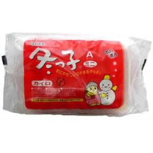 タカビシ化学 冬っ子 ミニ 10個 カイロ メディカル