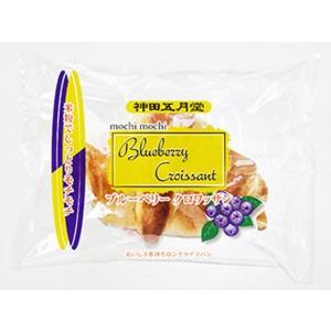 神田五月堂 モチモチ ブルーベリークロワッサン 菓子パン パン 食材 食品