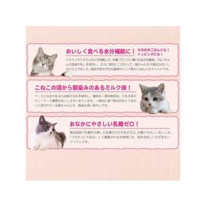 【お取り寄せ】ドギーマンハヤシ 猫国産牛乳スー...の詳細画像3