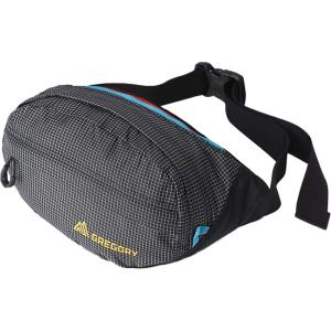 P最大17倍5/26限定 (取寄) グレゴリー ナノ ウエストパック Gregory Nano Waistpack Techno Black｜jetrag