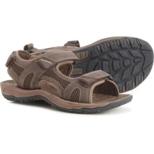 P最大12倍5/30限定 (取寄) メンズ ヘイズ スポーツ サンダル Rockport men Rockport Hayes Sport Sandals (For Men) Brown｜jetrag