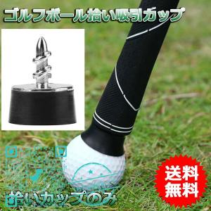 宅配便配送 送料無料 パークゴルフ グランドゴルフ ボールキャッチャー 10本セット アクセサリー Marketing Econsult Org Br