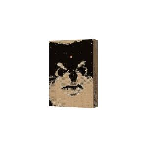 Andy Summers & Robert Fripp Complete 国内盤 アンディ・サマーズ＆ロバート・フリップ 伝説のコラボワーク