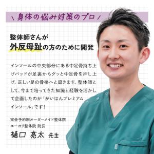 中敷 がいはんプレミアムインソール【サイズ:S...の詳細画像5