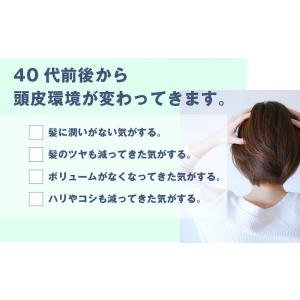 【お取り寄せ商品】ノコギリヤシエキス サプリメ...の詳細画像4