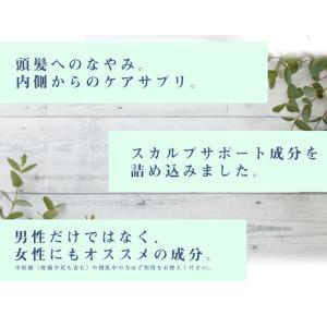 【お取り寄せ商品】ノコギリヤシエキス サプリメ...の詳細画像5