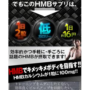 ダイエット サポート サプリメント healt...の詳細画像4