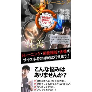 ダイエット サポート サプリメント healt...の詳細画像5