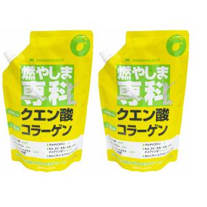公認店 3袋セット】 ガウラ さらに燃える 500g クエン酸 6820mg