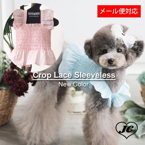 ピンク＆ブルー　クロップ レース ノースリーブ Crop Lace Sleeveless　小型犬/シ...