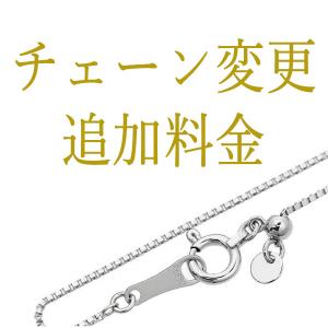 【チェーン変更追加料金ご決済ページ】Pt ベネチアン0.7mm 45cm フリーアジャスター仕様 → Pt ベネチアン1.0mm 45cm フリーアジャスター仕様 に変更