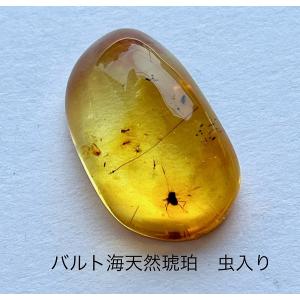 天然琥珀 虫入り琥珀 こはくルース インセクトアンバー パワーストーン