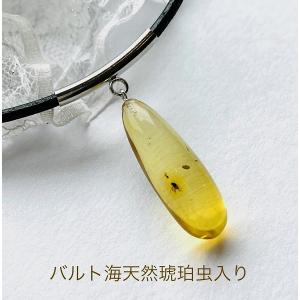 天然琥珀 虫入り琥珀 ネックレス ペンダント K18 バルト海産天然琥珀