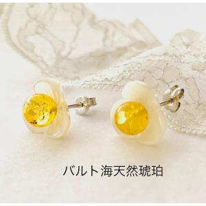 琥珀 ピアス K18 バルト海産高級天然琥珀 こはく ゴールド 11mm