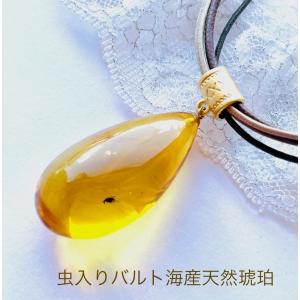 天然琥珀 虫入り琥珀 ネックレス ペンダント K18 バルト海産天然琥珀