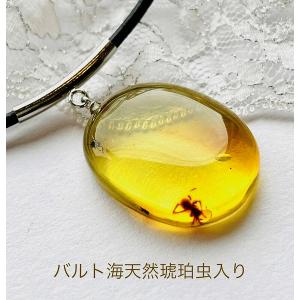 天然琥珀 虫入り琥珀 ネックレス ペンダント K18 バルト海産天然琥珀