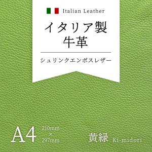 牛革 イタリア製 本革 シュリンク エンボスレザー 緑 A4 材料 レザー