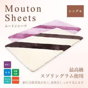 高密度 磁気入り ムートンシーツ シングル 100×200 Jewelry Me 高密度 磁気入り ムートンシーツ シングル 100×200 Jewelry Me