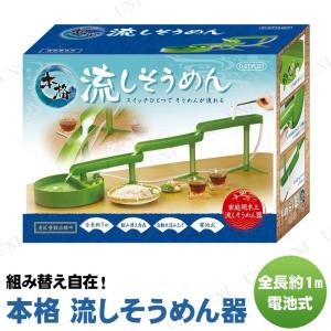 スライダー タイプ D-STYLIST 本格流しそうめん ...