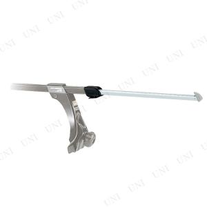 取寄品  カーメイト バーエンドフック IN551-6