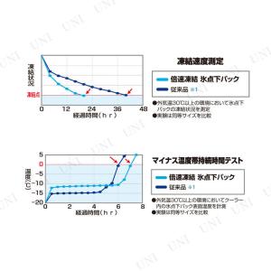 LOGOS(ロゴス) 倍速凍結 氷点下パックMの詳細画像2