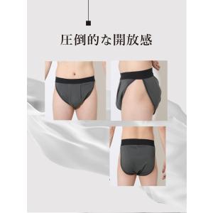 メンズ [ ふんどしパンツ ( コットンモダー...の詳細画像4