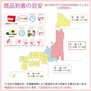 復興応援 気仙沼のお母さん達の手作り ラベンダ...の詳細画像3