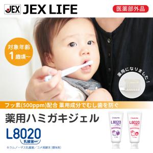 ポイント15倍 L8020乳酸菌使用 薬用ハミ...の詳細画像1