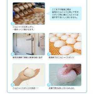 パパあらって こんにゃくスポンジ 日本製 ボデ...の詳細画像3