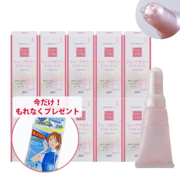 ポイント10倍 潤滑ゼリーリューブゼリー デリケートイン 6g×4本入[10箱セット]  更年期　ケ...