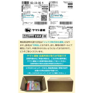 ポイント10倍 腟洗浄器 ゼリープラス メディ...の詳細画像3