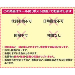 発熱セット 熱中症対策 ちょいパットアイス や...の詳細画像1