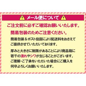発熱セット 熱中症対策 ちょいパットアイス や...の詳細画像2