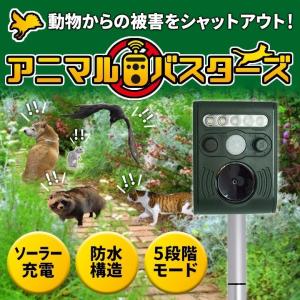 動物撃退器 超音波 アニマルバスターズ 猫よけ ソーラー充電 防水 5段階モード 超音波 光 動物 撃退 威嚇 鳥 猫 猪 狸 畑 家庭菜園 庭 SOAB01