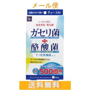 ガセリ菌＋酪酸菌 90粒 送料無料（ウエルネスジャパン）