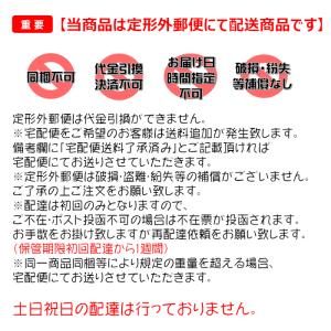 グリーンマグマ 170g (23年2月よりパッ...の詳細画像1