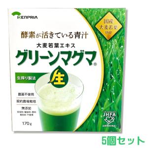 グリーンマグマ 170g 5個セット +オマケ付 30包 (日本薬品開発)