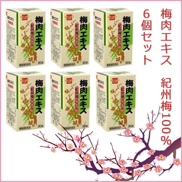 梅肉エキス　90g　6個セット 送料無料 （健康フーズ）
